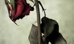 vissen-rose
